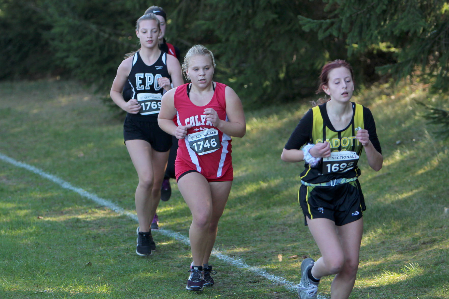 Division 3 Cross Country Sectionals in Boyceville 10-26-19